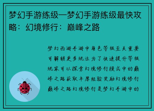 梦幻手游练级—梦幻手游练级最快攻略：幻境修行：巅峰之路